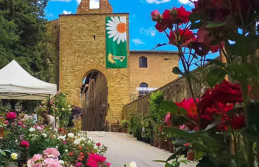 Stone gate of Barberino Val d’Elsa decorated with flowers and a daisy banner during a local festival in Tuscany, Italy