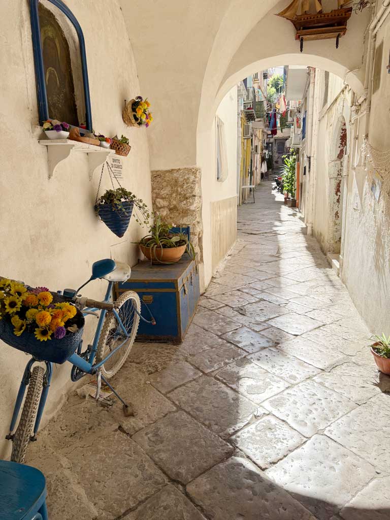 Vicolo suggestivo a Gaeta con muri pastello, piante in vaso e bicicletta vintage appesa al muro con cesti di fiori sotto un arco.Caption (EN)