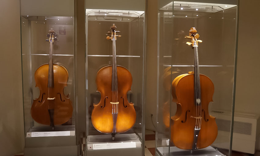 Historic Stradivari cellos on display in the Hall of Musical Instruments at the Accademia Gallery.